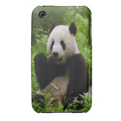 Panda iPhone 3 Cover