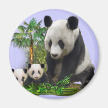 Panda Love art Magnet