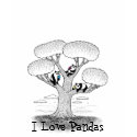 Panda Love t-shirts