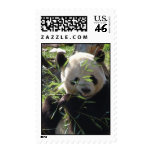 panda mania postage