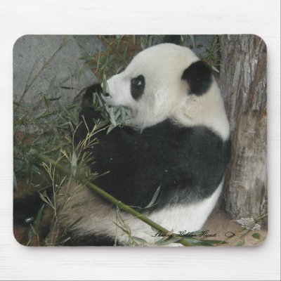 Panda mousepad by SherryHolderHunt