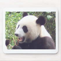 Panda Mouse Pad
