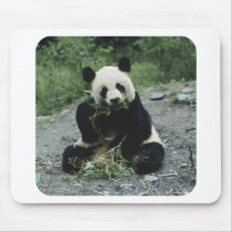 Panda mousepads by animalworld Panda mousepads