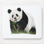 panda mousepad