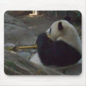 panda mousepads