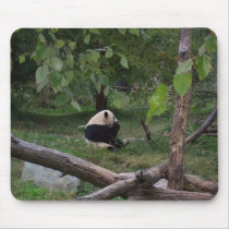 Panda Mousepad mousepads