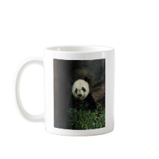 Panda mug