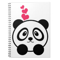 Panda notebook notebooks
