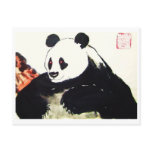 Panda Nr.29 * panda postcard * panda kind Postcard
