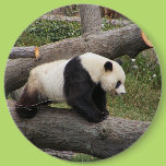 Panda on Log Buttons