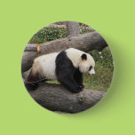 Panda on Log Pinback Buttons