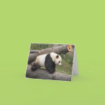 Panda on Log Cards