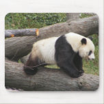Panda on Log Mouse Pad