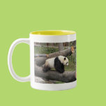 Panda on Log Mug