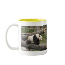Panda on Log mugs