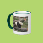 Panda on Log Mugs