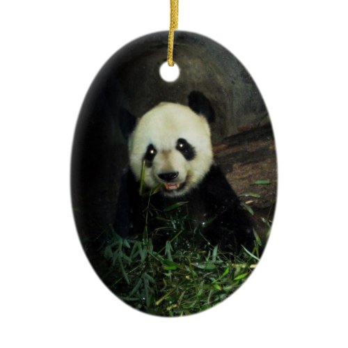 Panda Ornament ~ Endangered Species Series ornament