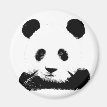 Panda Peeks Out Magnets