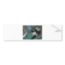 Panda Play bumper stickers by marylouroche Panda Play bumper stickers