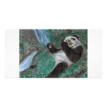 Panda Play photo cards by marylouroche Panda Play photo cards