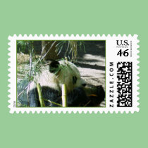 Panda postage