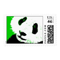 panda.