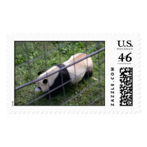 Panda postage