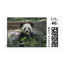 Panda Postage