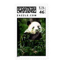 panda postage stamp by phipix panda postage stamp