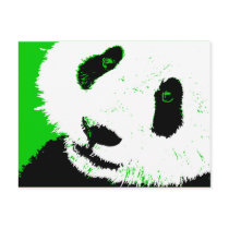 panda. postcards