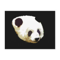 Panda Postcard