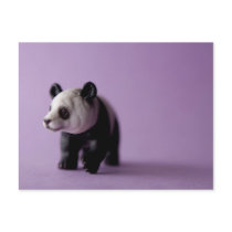 Panda Postcard