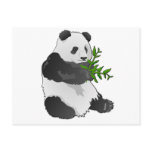 panda,china,chinese,china's,beijing,shangh