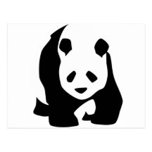 Panda Postcard