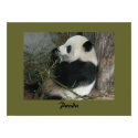 Panda Poster posters by SherryHolderHunt Panda Poster posters
