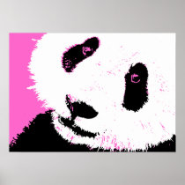 panda. poster