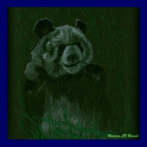 Panda posters