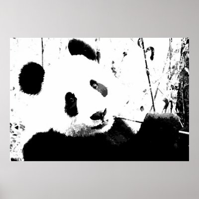 Panda Posters Black White black and white portraits kandyse mcclure bikini