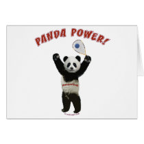 Panda Power Racquetball