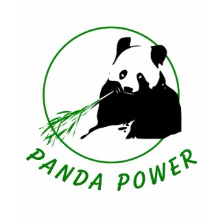 Panda Power shirt