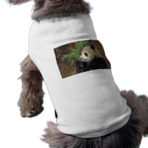 Panda Profile pet clothing