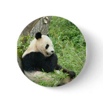 Panda Round Button