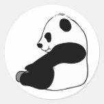 panda, pandas, bear, bears, wild