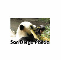 Panda_San Diego Panda photo sculptures