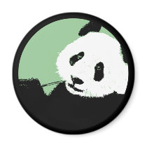panda. seagreen circle. magnets by asyrum panda. seagreen circle. magnets