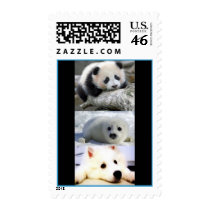 Panda-Seal-Puppy Stamp
