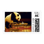 Panda, Shanghai Circus, China Postage
