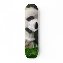 Panda Skateboard