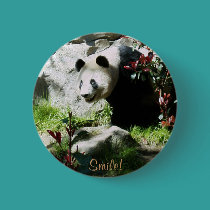 Panda Smile! buttons