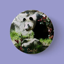 Panda Smile! buttons